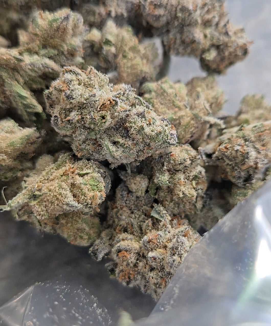 Animal Tsunami (Mainely Organics - Jungle Boys)