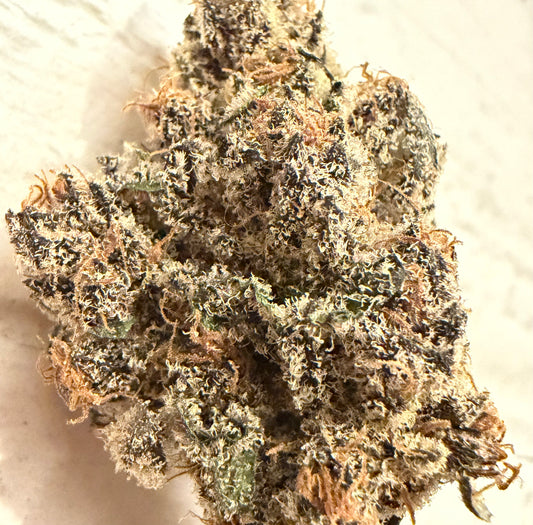 Black Beauty (Leaf Dr.)