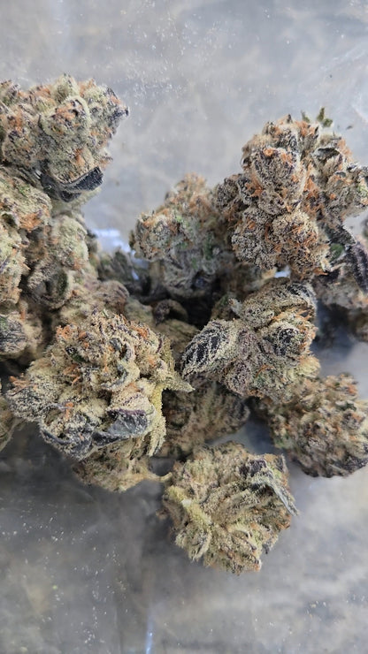 Garlicane (In-House Genetics)